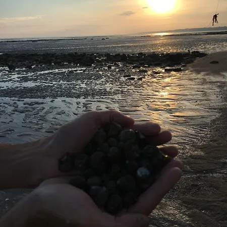 Domaine Hortensias Ξενοδοχείο 3*