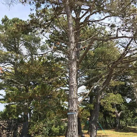 Domaine Hortensias Ξενοδοχείο