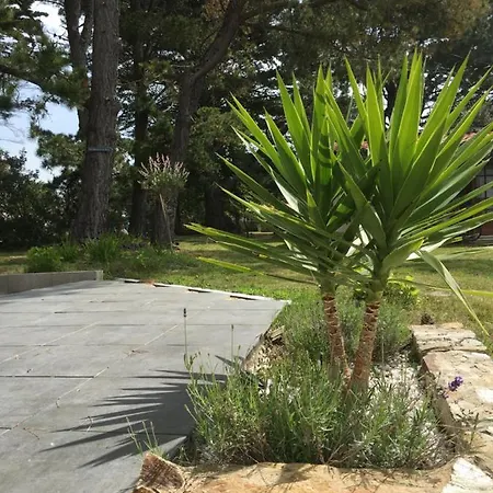 Ξενοδοχείο Domaine Hortensias 3*