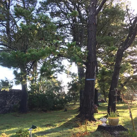 Ξενοδοχείο Domaine Hortensias La Sennetiere